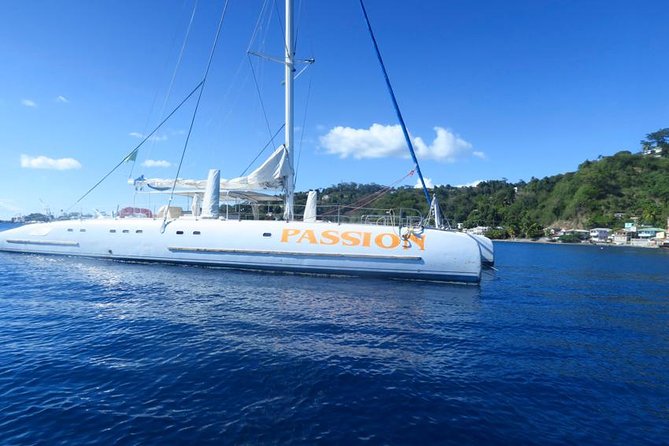 Waitukubuli Dolphin and Whale Watch in Dominica - Is $99 a fair price?