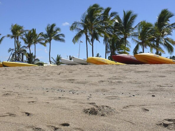 Wake Up With the Whales Cruise on Seasmoke - Key points before you book