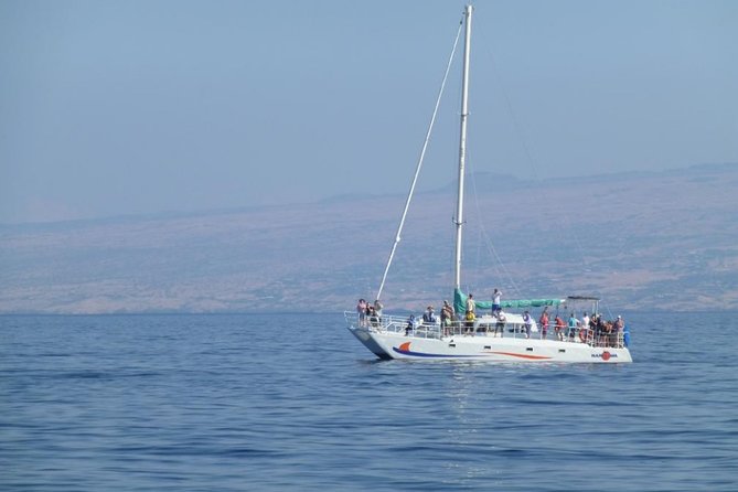 Wake Up With the Whales Cruise on Seasmoke - When to schedule the cruise