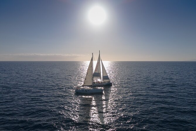 Watching and Listening Whales visiting Los Gigantes&Masca. Food&drinks included - Is $68.61 good value?
