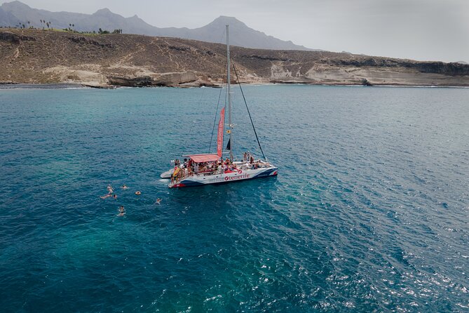 Watching and Listening Whales visiting Los Gigantes&Masca. Food&drinks included - Watching whales and dolphins off Tenerife’s southwest coast