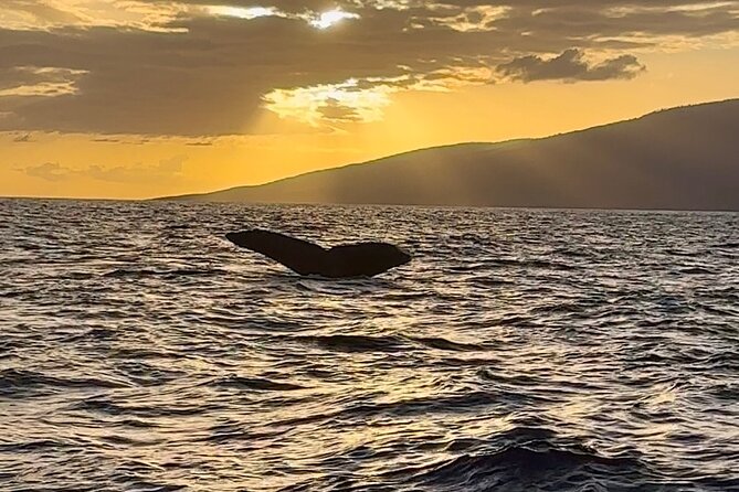 West Maui Sunset Whale Watch - Sunset photography and the GoPro option