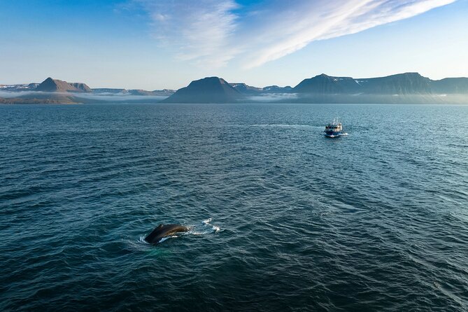Westfjords Whale Watching - Leaving Ísafjörður for Ísafjarðardjúp