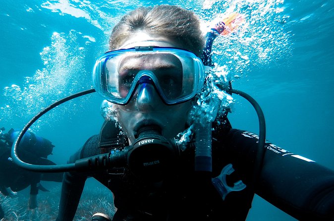 Whale and Dive Combo Tour in Los Cabos - Second reef site and the value of variety