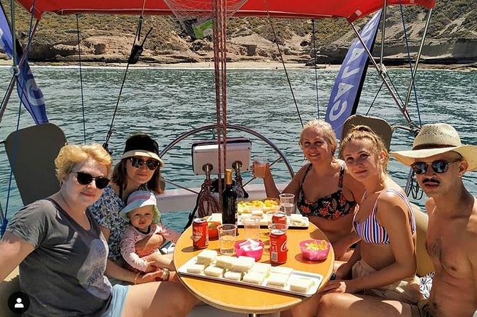Whale and Dolphin Small Group Sailing from Tenerife South - Key points to know before you sail