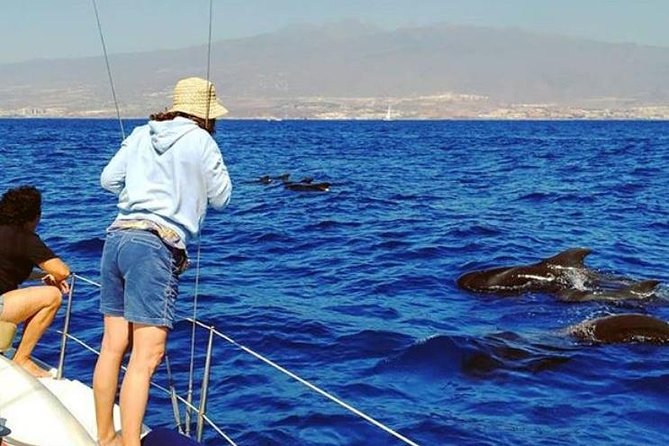 Whale and Dolphin Small Group Sailing from Tenerife South - A small boat from Puerto Colón