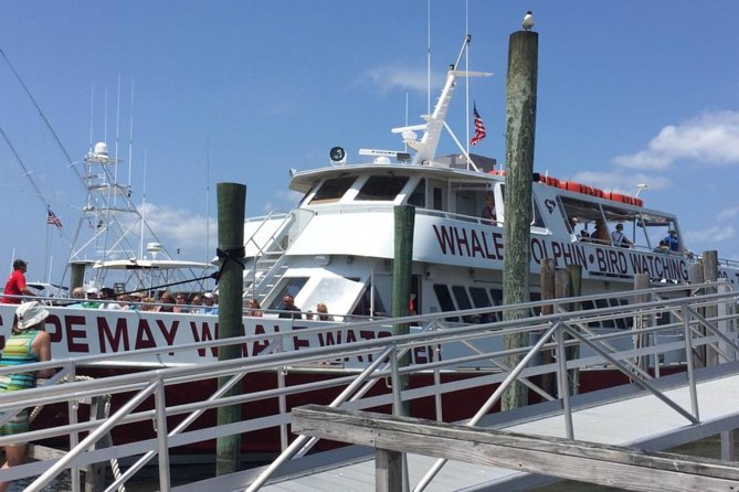 Whale and Dolphin Watching Cruise from Cape May - What the narration adds