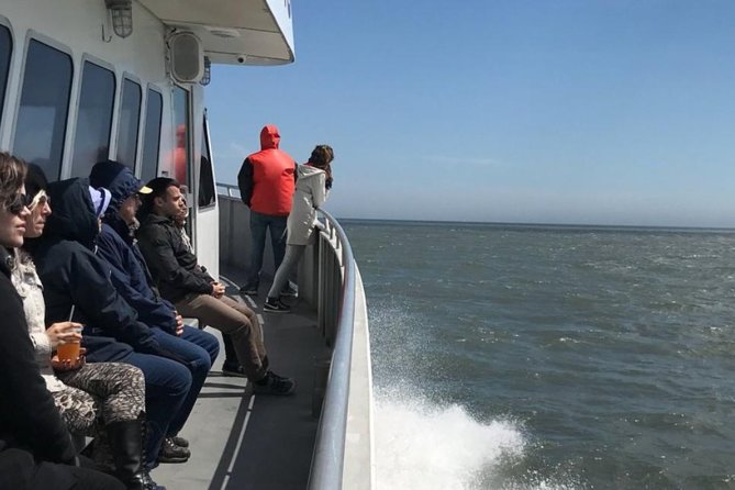 Whale and Dolphin Watching Cruise from Cape May - Who will enjoy this cruise most?