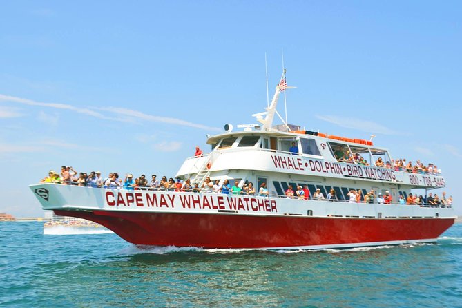 Whale and Dolphin Watching Cruise from Cape May - Three hours around the Cape May Peninsula