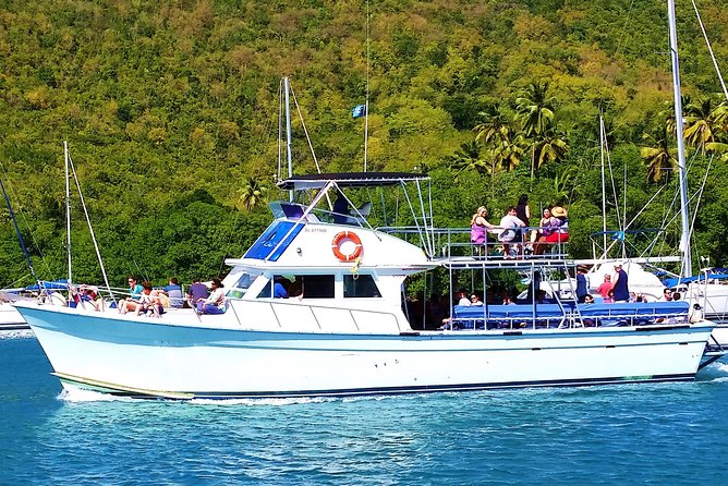 Whale and Dolphin Watching Cruise in St Lucia - Cruise ship passengers need extra planning
