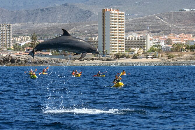 Whale and Dolphin Watching EcoAdventure in Tenerife - Leaving the Pier on a Compact Boat