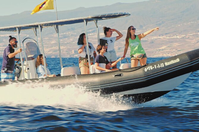 Whale and Dolphin Watching EcoAdventure in Tenerife - Pilot Whales and the Sound Beneath the Boat