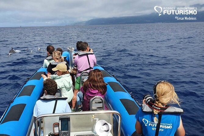 Whale and dolphin watching in Pico Island - Starting in Lajes do Pico, where the search begins