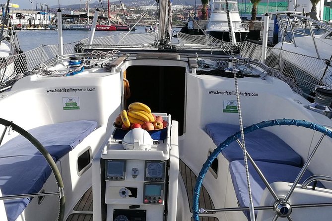 Whale and Dolphin Watching Sailing Boat with Drinks, Snacks and Swimming Time - How the price compares with the experience