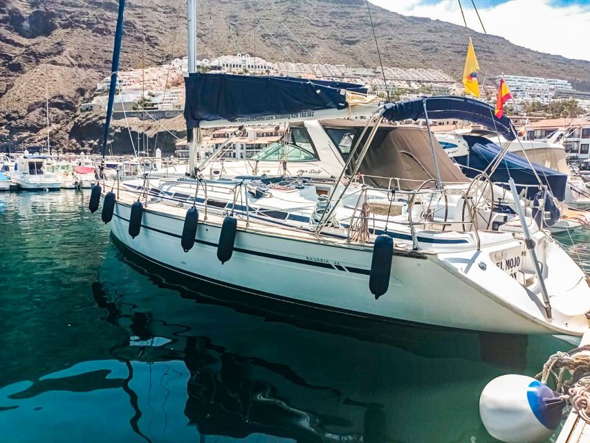 Whale and Dolphin Watching Sailing Tour – Los Gigantes (3H) - The cove stop: swimming, snorkeling, and cold tapas