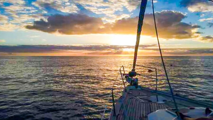Whale and Dolphin Watching Sailing Tour – Los Gigantes (3H) - Is $76 a fair price?