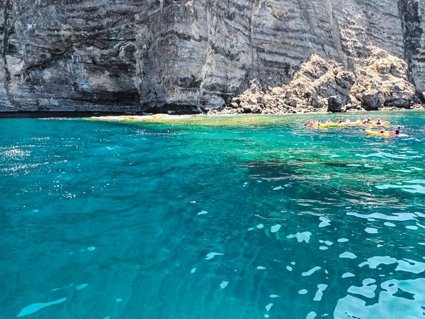 Whale and Dolphin Watching Sailing Tour – Los Gigantes (3H) - Practical things to bring