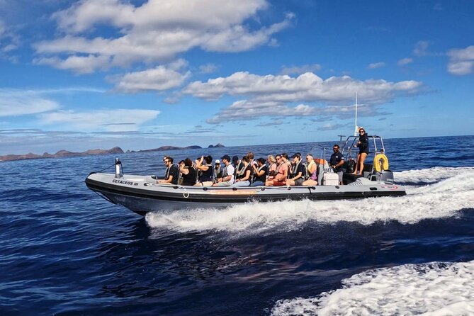 Whale and Dolphin Watching Tour from Funchal - The one-stop itinerary, and why the open water matters