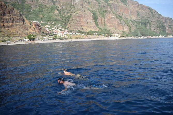 Whale and Dolphin Watching Tour in Madeira - Weather, cancellations, and practical planning