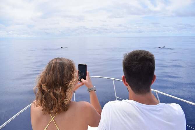 Whale and Dolphin Watching Tour in Madeira - What the 2.5-hour route feels like