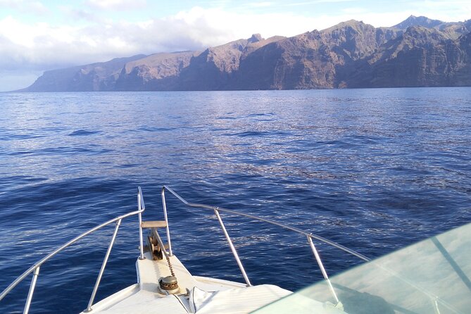 Whale and dolphin watching tour Los Gigantes and Masca in small groups - Who will enjoy this boat trip most?