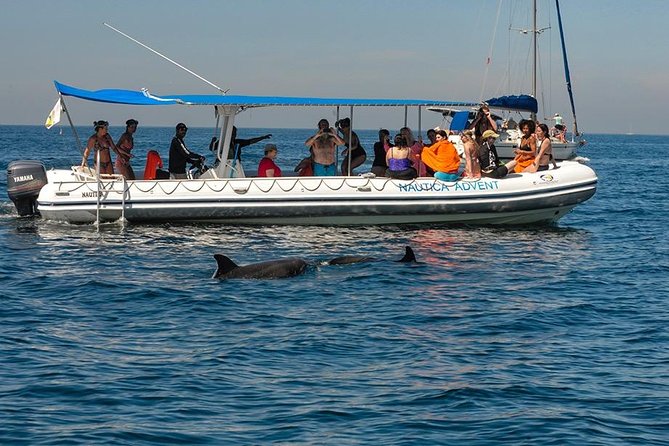Whale and Dolphin Watching with a Biologist in Puerto Vallarta - A small boat built for wildlife viewing
