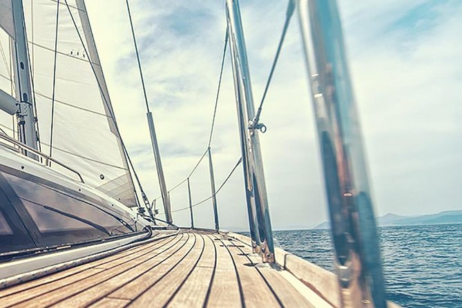 Whale and Dolphin Watching Yacht Trip in Puerto Colon - What the $62.56 price really buys