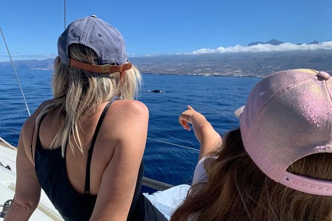 Whale and Dolphin Watching Yacht Trip in Puerto Colon - Who will enjoy this yacht trip most