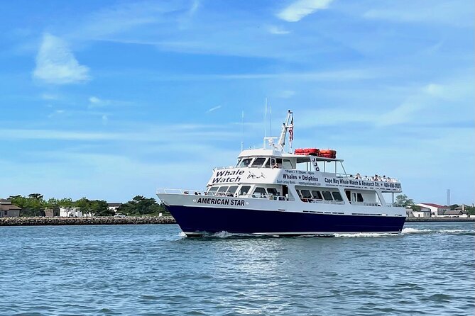 Whale Dolphin and Bird Watching Ecotour Cruise - Offshore in search of migratory baleen whales