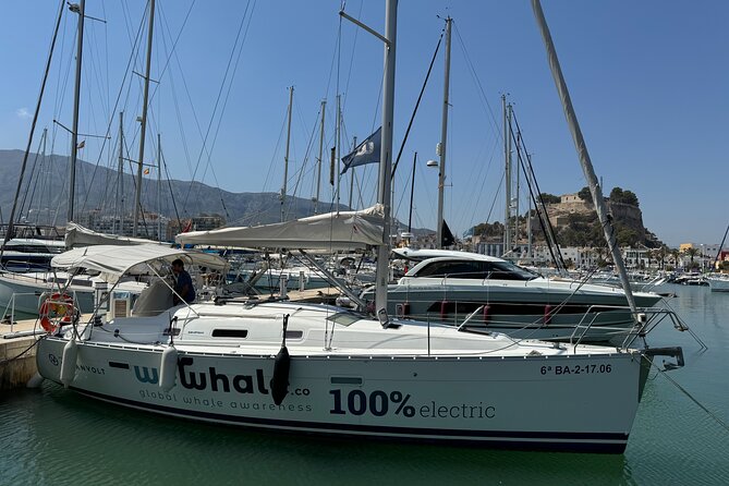Whale & Dolphin Observation on Electric Sailing Boat in Denia - A quiet morning on the Dénia coast