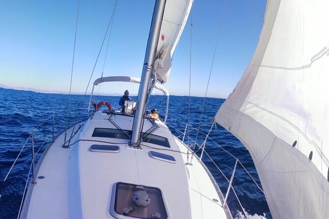 Whale & Dolphin Observation on Electric Sailing Boat in Denia - Sophia and Norma add the human touch