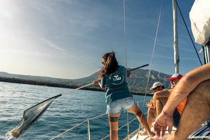 Whale & Dolphin Observation on Electric Sailing Boat in Denia - What you may actually see