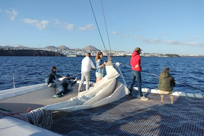 Whale & Dolphin Observation on Silent Catamaran with Hydrophone - The hydrophone: special feature, with an important condition