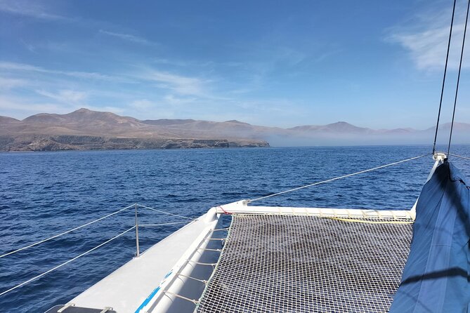 Whale & Dolphin Observation on Silent Catamaran with Hydrophone - The open-sea search for dolphins and whales
