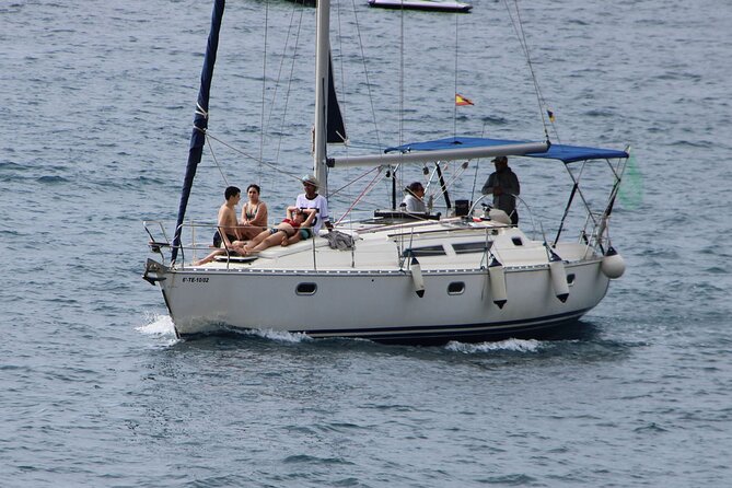 Whale & Dolphin Watching Boat Trip in Tenerife On a Sailing Boat (3 Hr) - Snacks, drinks, and the small-boat atmosphere