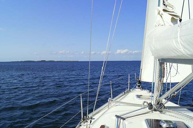 Whale & Dolphin Watching Boat Trip in Tenerife On a Sailing Boat (3 Hr) - Booking, weather, and small practical details