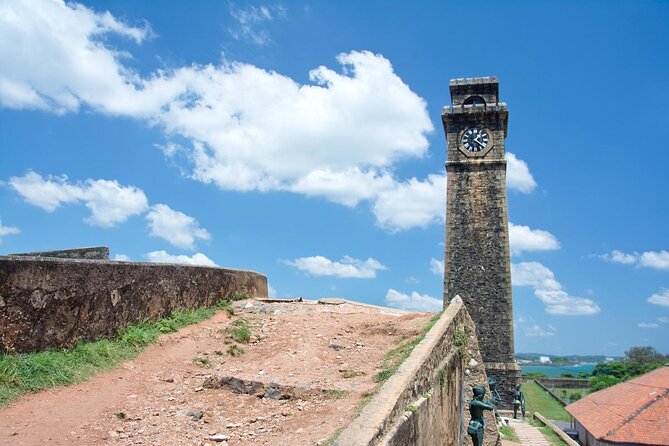Whale & Dolphin Watching Day Tour including Handunugoda Teafactory - Key points before you book