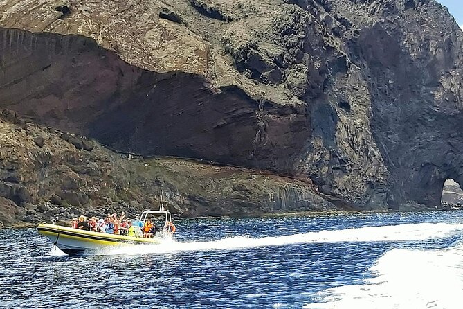Whale & Dolphin Watching in Madeira - The swim near Prainha and Cais do Sardinha
