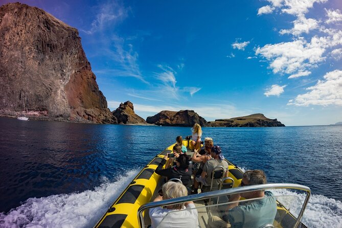 Whale & Dolphin Watching in Madeira - What $59.89 buys you