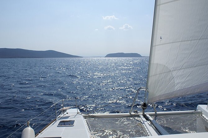 Whale & Dolphin Watching in Tenerife (Puerto Colon) On a Large Catamaran - How the 70-person catamaran affects the day