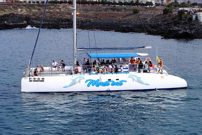 Whale & Dolphin Watching With Mustcat Virgin Coast Trip On a Large Catamaran - What Three Hours Feels Like