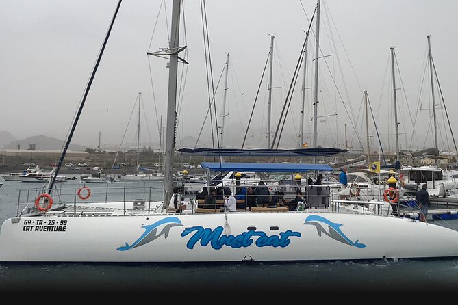 Whale & Dolphin Watching With Mustcat Virgin Coast Trip On a Large Catamaran - Food, Drinks, and the Value of the Open Bar