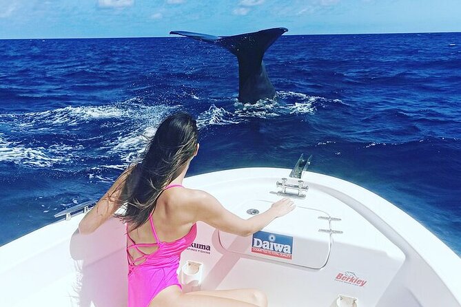 Whale Dream ltd - Whales watching and swim with dolphins - Searching for sperm whales with a hydrophone