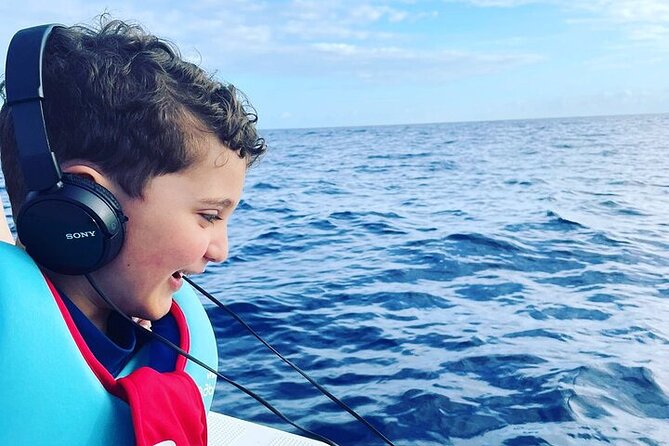 Whale Dream ltd - Whales watching and swim with dolphins - How ethical is the experience?