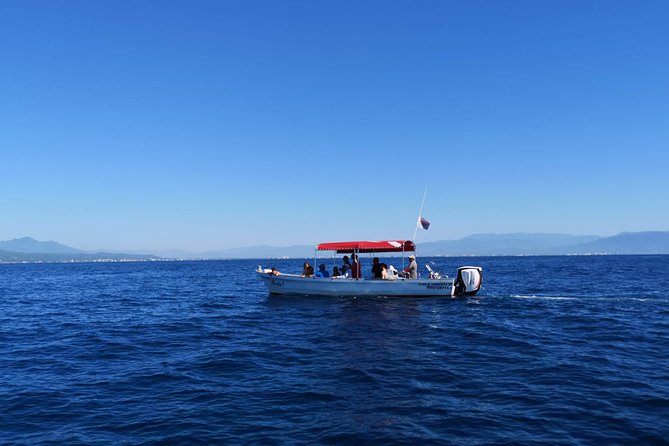Whale Encounter Puerto Vallarta - Guides who add real value
