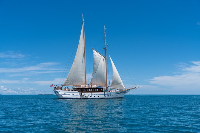 Whale's Tale Day Cruise from Port Denarau - Setting off from Port Denarau toward the Mamanucas