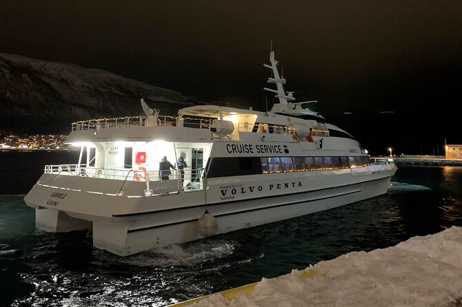 Whale Safari in Tromso - Leaving Tromso at 9:00 a.m.