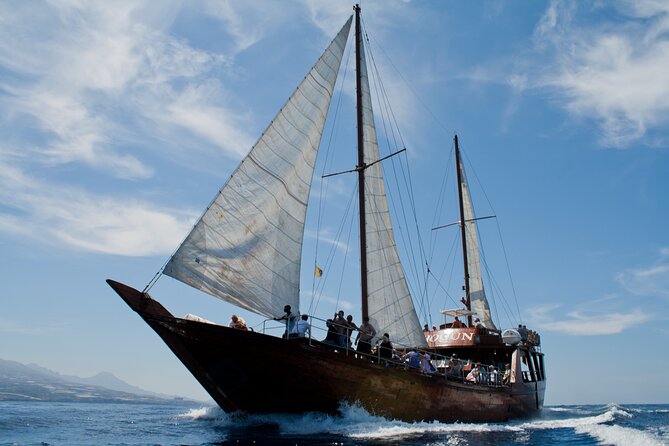 Whale Safari to Los Gigantes with pickup from North - Lunch on board, with a lively atmosphere