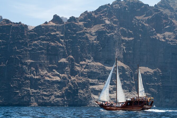 Whale Safari to Los Gigantes with pickup from North - Weather, cancellation, and practical packing