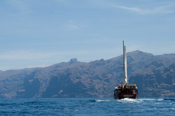 Whale Safari to Los Gigantes with pickup from North - Who should book the Shogun?